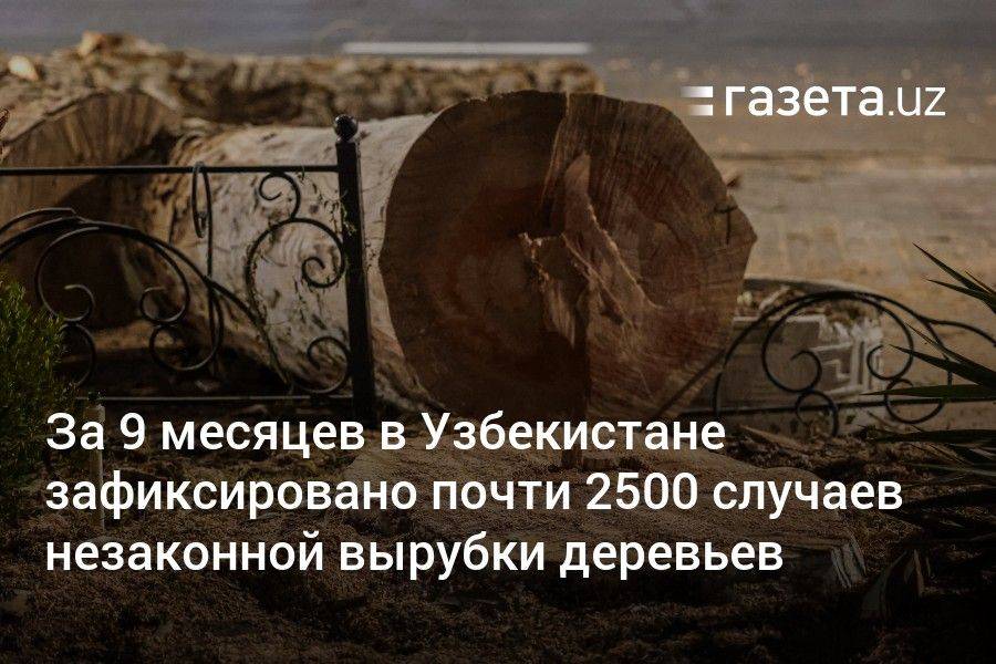 За 9 месяцев в Узбекистане выявлено почти 2500 случаев незаконной вырубки деревьев