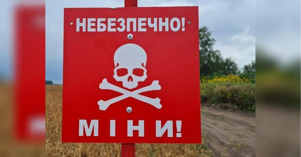 Самая опасная — «черная вдова»: чтобы убивать и калечить украинских саперов, оккупанты массово ставят мины-ловушки
