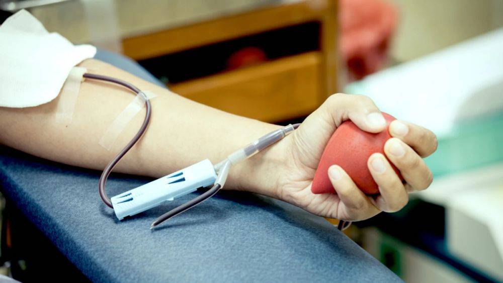 В Швейцарии отменили ограничения на донорство крови для геев