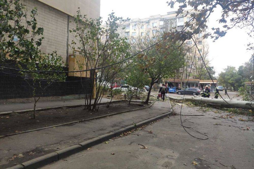Непогода в Одессе 12 ноября 2023: фото последствий | Новости Одессы