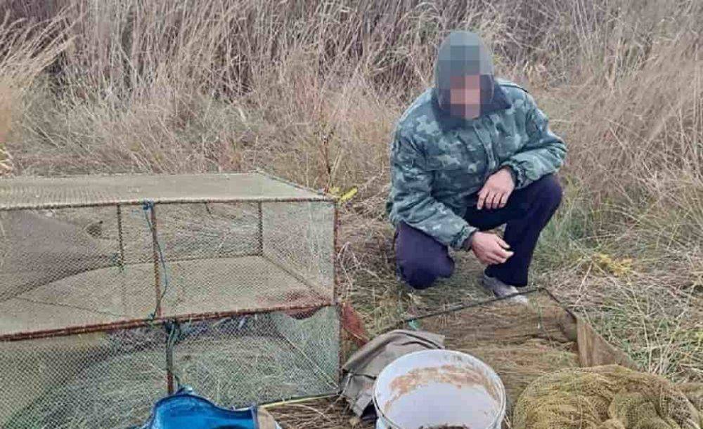 В Одесской области поймали браконьеров | Новости Одессы