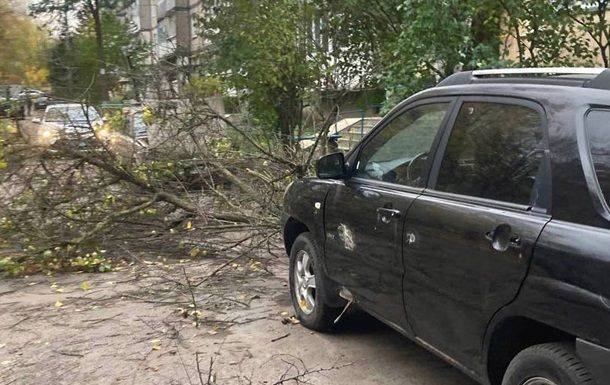 В оккупированном Симферополе ураган за сутки повалил 40 деревьев