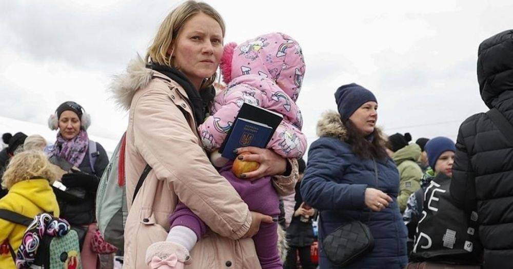 Какие страны планируют сократить помощь украинским беженцам, — СМИ (инфографика)