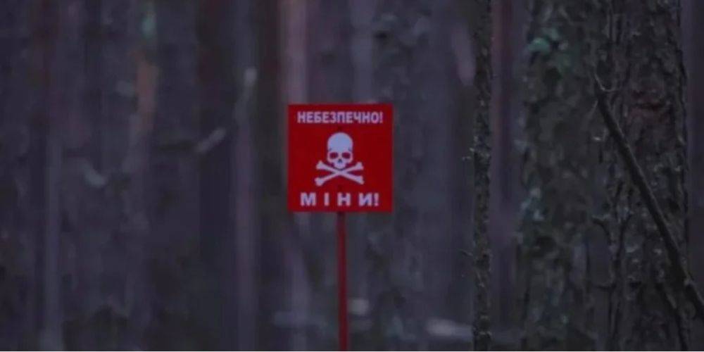 С 24 февраля в Украине погибли 265 человек из-за подрывов на минах