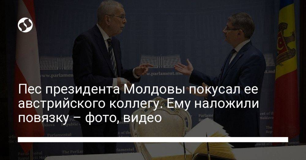 Пес президента Молдовы покусал ее австрийского коллегу. Ему наложили повязку – фото, видео