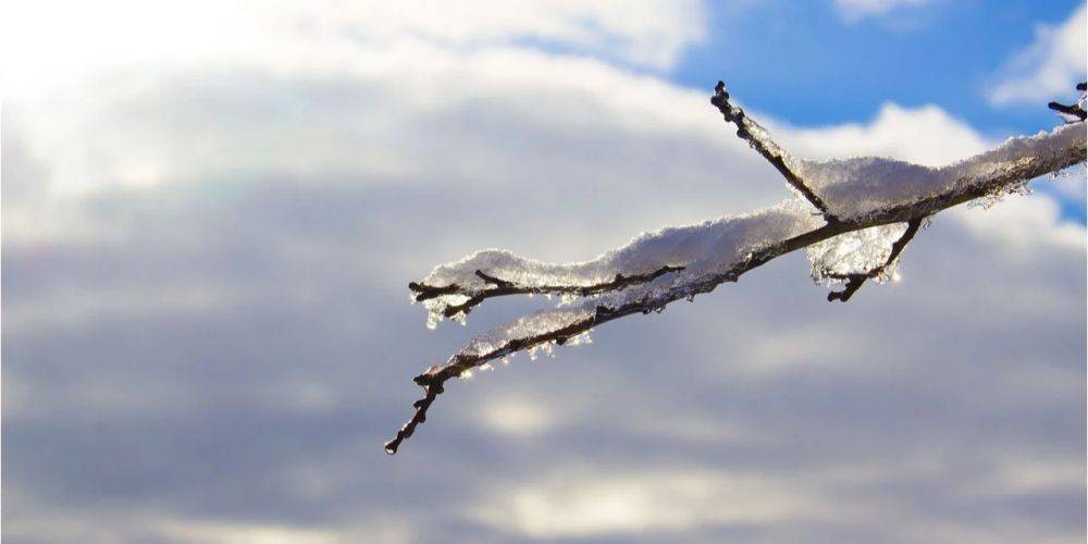 В ближайшие двое суток на большей части Украины выпадет мокрый снег