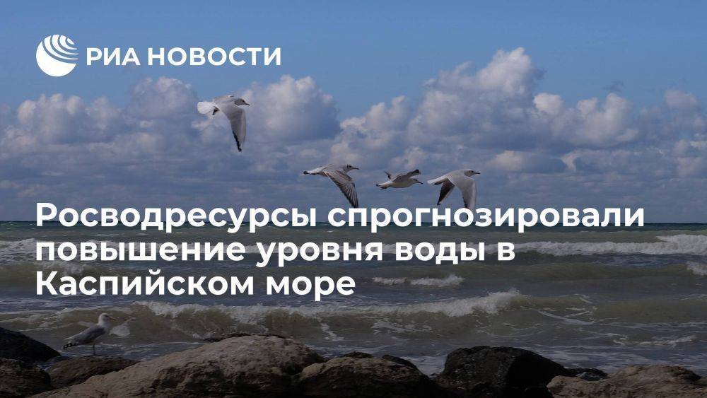 Росводресурсы: уровень воды в Каспийском море может повыситься к концу века
