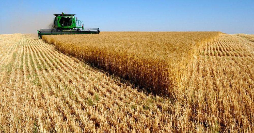 "Це виклики для агросектору ЄС", — міністр сільського господарства Польщі про вступ України до Євросоюзу