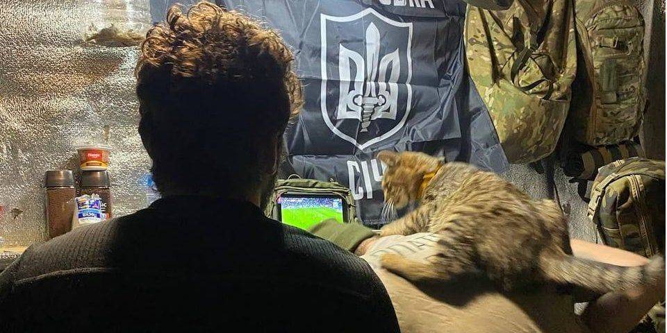 Прямо из блиндажа! Военные ВСУ показали, как вместе с котом болели за сборную Украины — фото