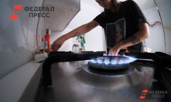 Цены на газ поднимутся для жителей восьми районов Псковской области на 200 рублей