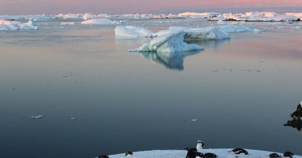 До 20 часов светового дня: украинские полярники показали "белые ночи" в Антарктике (фото)