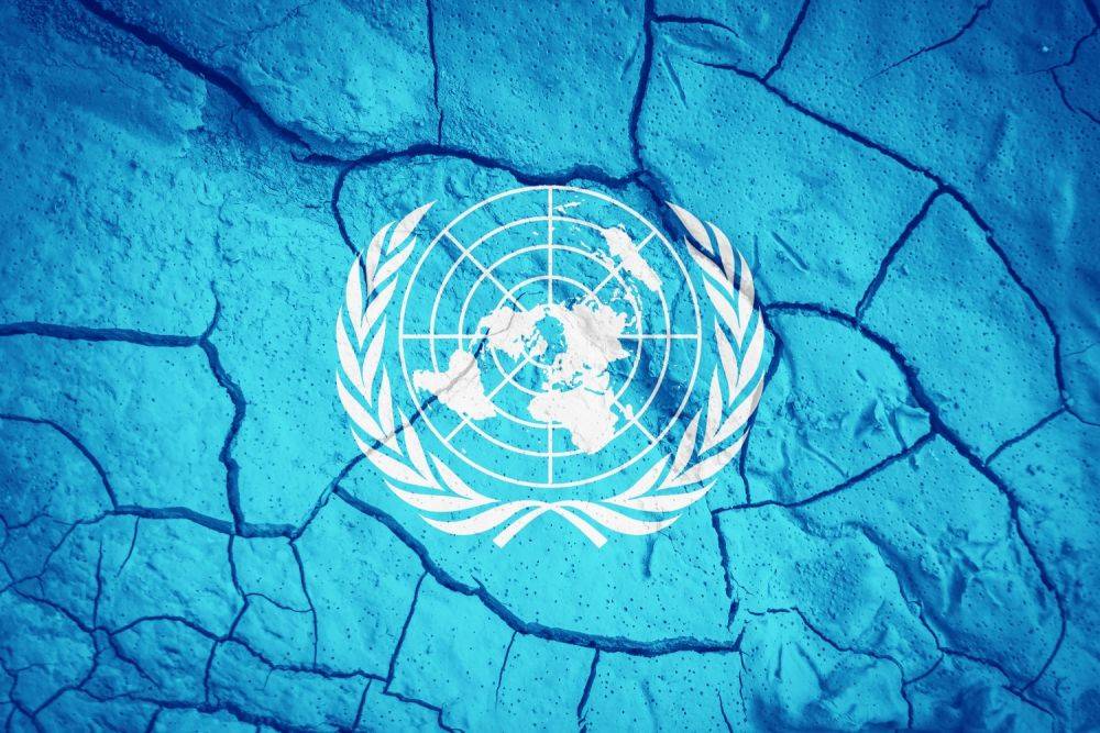 Функционеры ООН продолжают ругать «израильскую военщину»: в жизни такого не видели