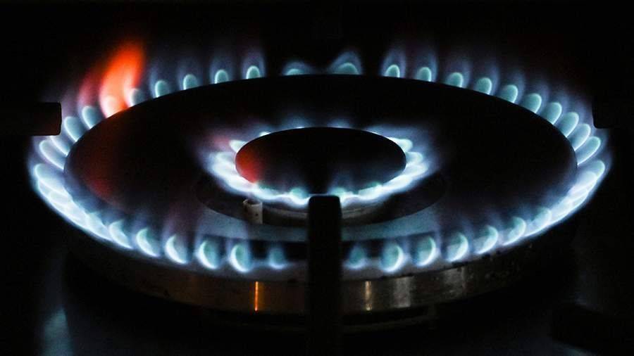 Аналитик оценил последствия отмены энергетических субсидий в ФРГ