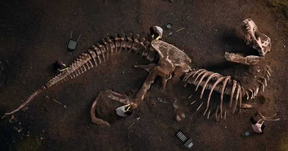 Где на самом деле бродили динозавры по Земле и почему их кости не находят повсюду: объяснение ученых