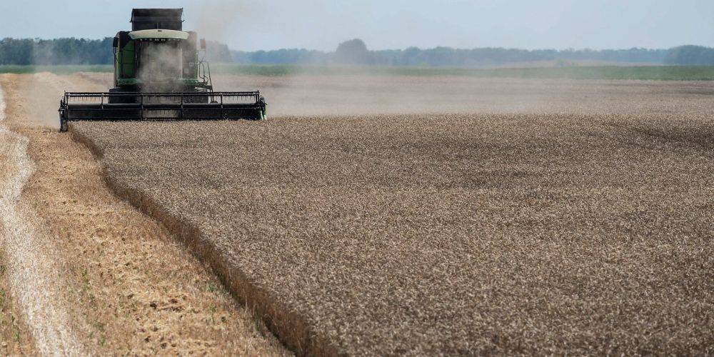 Россия украла у Украины зерна примерно на миллиард долларов — Шмыгаль