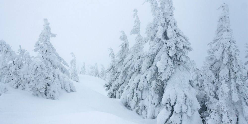 «В Украине зимы не будет». Известный метеоролог сделал прогноз на зиму и рассказал, когда об этом времени года будут только вспоминать
