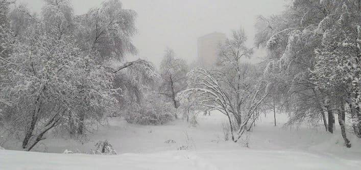 Снегопады в Украине – непогода накроет центральные области и Киев – предупреждение синоптиков