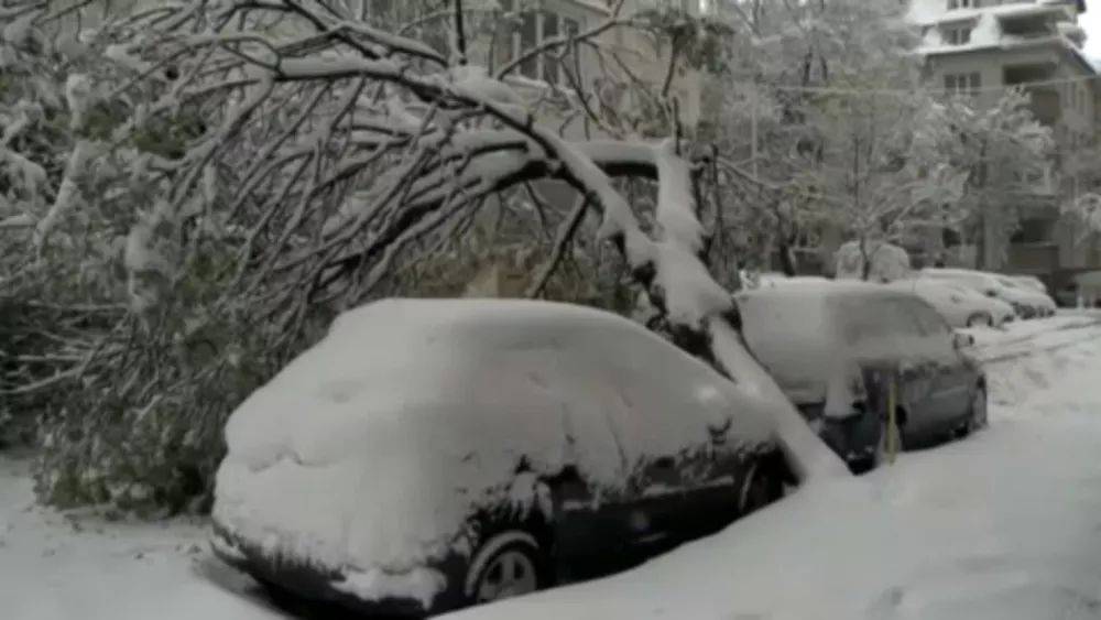 Испытание погодой: обильные снегопады и шквалистый ветер в Европе
