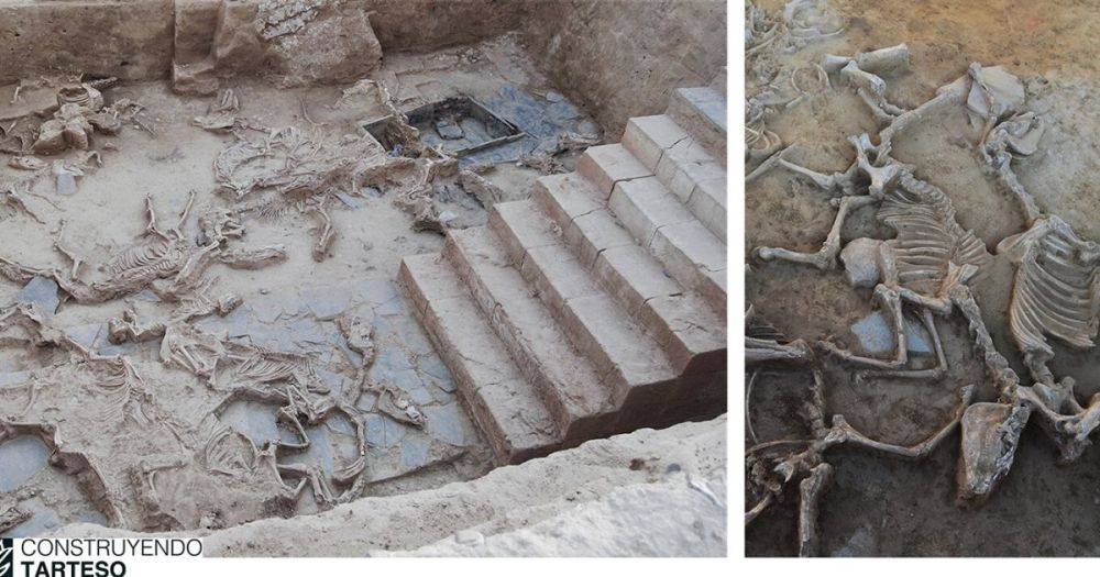 Ученые нашли доказательства масштабных и повторяющихся жертвоприношений железного века в Испании