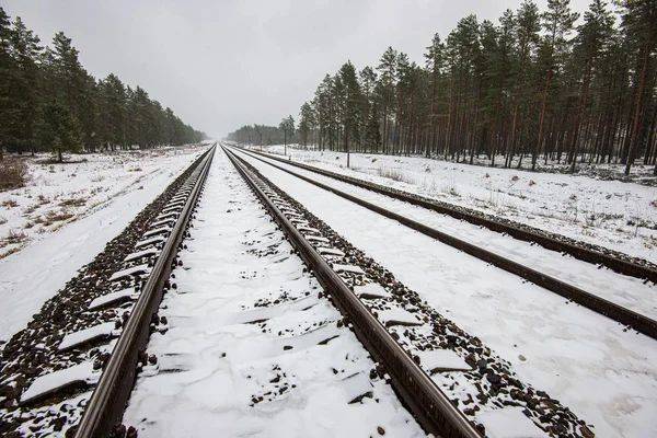 Укрзализныця сообщила о задержке поездов из-за непогоды (полный перечень)