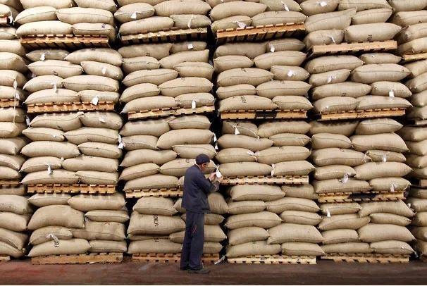 FT: ЕС может уничтожить сотни тысяч тонн кофе и какао-бобов
