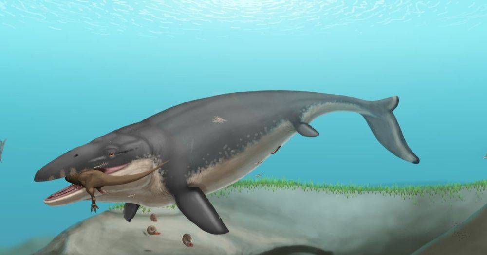 Острые зубы-бритвы или мощный укус: кто самый смертоносный хищник древнего океана (фото)