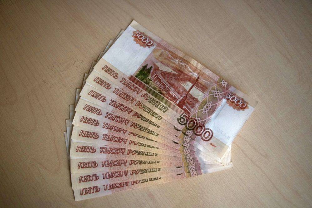 4,7 млн рублей направит на отлов бездомных животных нижегородская мэрия