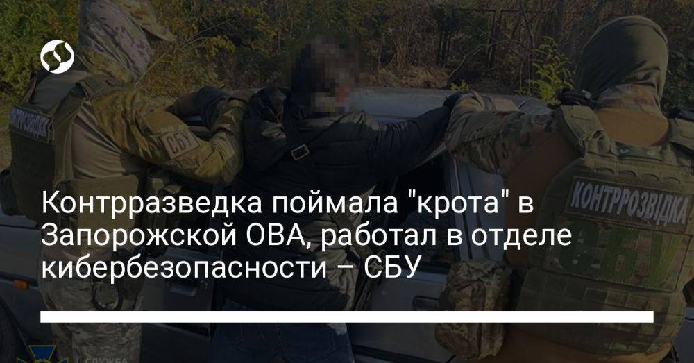 Контрразведка поймала "крота" в Запорожской ОВА, работал в отделе кибербезопасности – СБУ