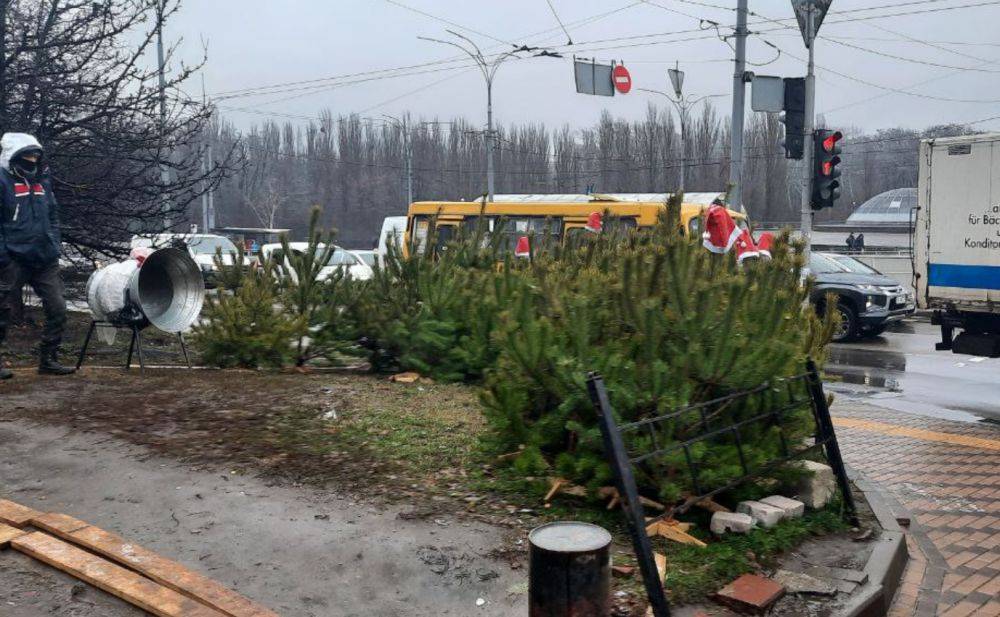 Почем нынче елочка: в Украине стартовали новогодние базары