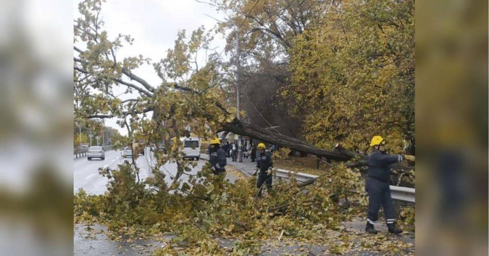 Дожди, сильные порывы ветра и отключение света: украинцев предупредили об ударах непогоды