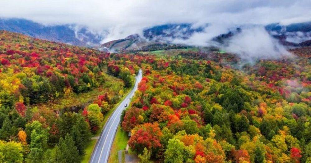 Метаморфозы природы: почему листья на деревьях осенью меняют свой цвет