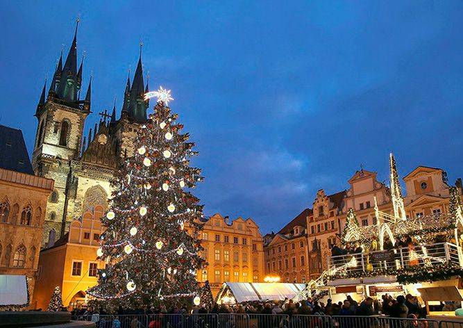 Прага объявила награду за помощь в поисках рождественской ёлки