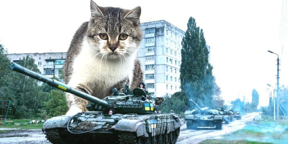 Псу Патрону стоит волноваться? Украинцы сделали кота Сырского новой звездой соцсетей — обзор