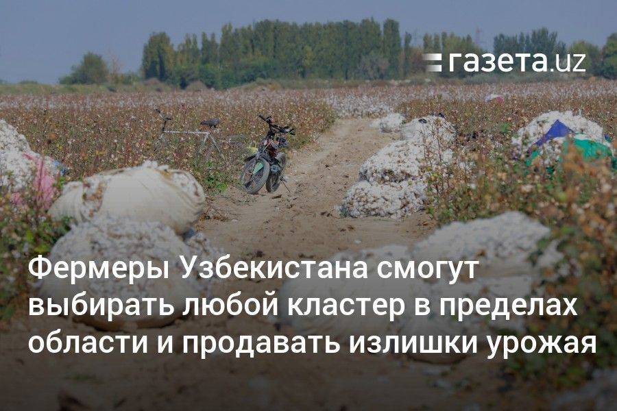 Фермеры Узбекистана смогут выбирать любой кластер в пределах области и продавать излишки урожая — президент