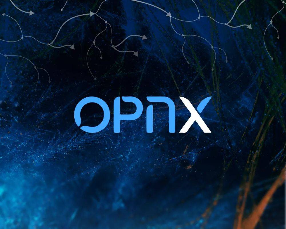 Токен OPNX вырос на 60% на фоне новостей о Су Чжу