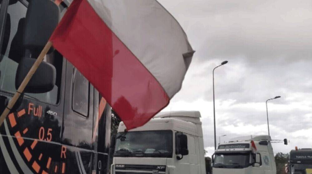 Блокада на границе с Польшей: сколько грузовиков стоят в очереди на четырех КПП