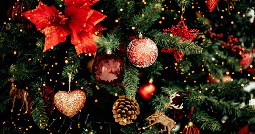 Девушка заработала тысячи долларов за день, украшая рождественские елки топлес (фото, видео)