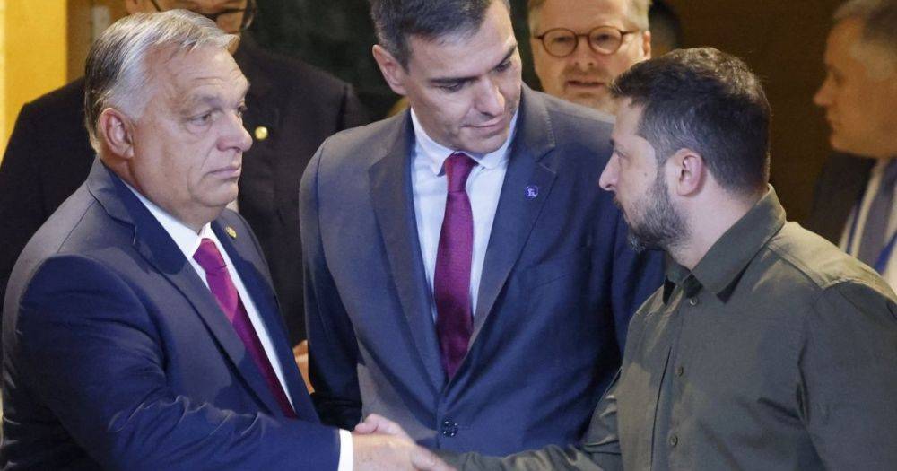 Удалось пообщаться: Зеленский встретился с Орбаном в Аргентине (видео)