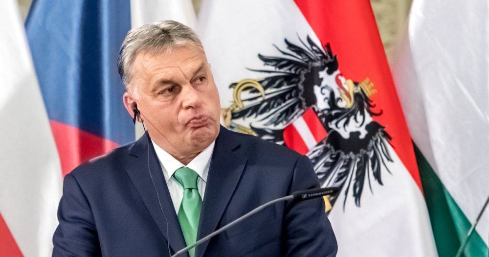 Закарпатские венгры призвали Орбана не блокировать переговоры Украины с ЕС