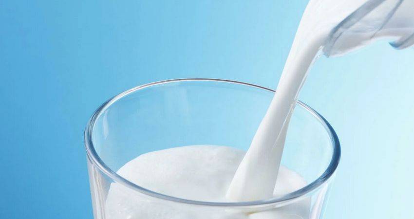 В Беларуси впервые надоят 8 миллионов тонн молока