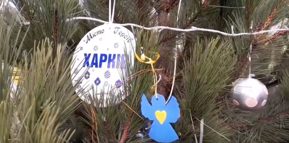 Городам-героям: в Кропивницком посвятили елку Харькову (видео)