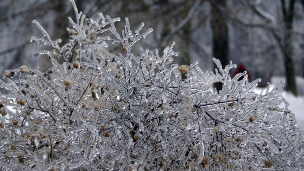 Погода в Украине – где будут снегопады и ледяные дожди 14 декабря – карты