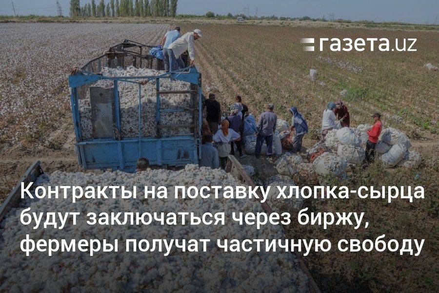 Контракты на поставку хлопка-сырца в Узбекистане будут заключаться через биржу, фермеры получат частичную свободу