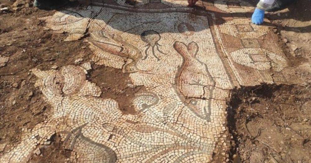 Едва не уничтожили вандалы: археологи нашли уникальную мозаику римских времен (фото)