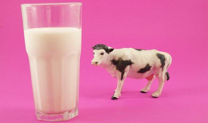 Кто входит в 20 крупнейших мировых переработчиков молока?