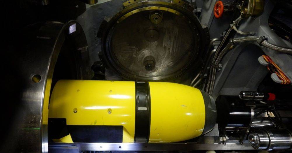 Не понадобилось присутствие водолаза: в США протестировали подводный дрон Remus (фото)
