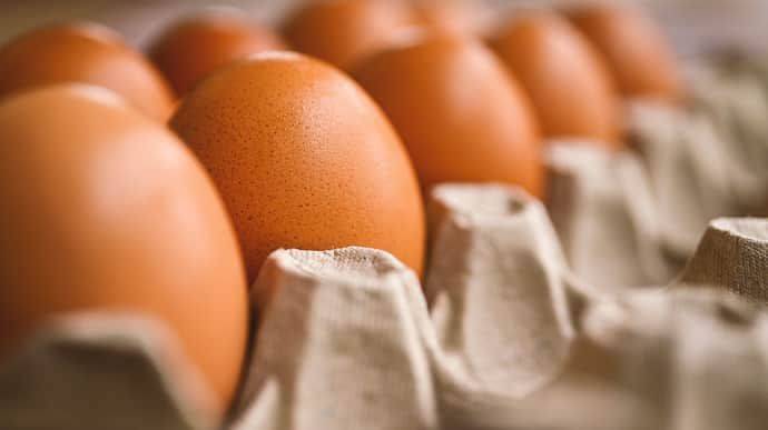 В России надумали импортировать из Ирана куриные яйца