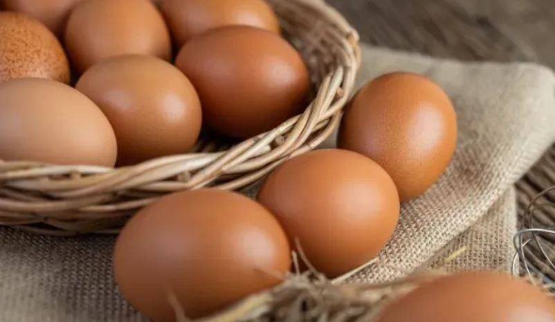 Совет ЕЭК разрешил России обнулить пошлины на импорт яиц с 1 января 2024 года