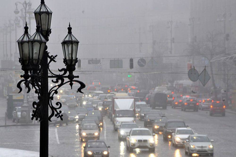 Зимы не будет – в декабре так точно: синоптик Диденко предупредила о погоде на вторник, 19 декабря