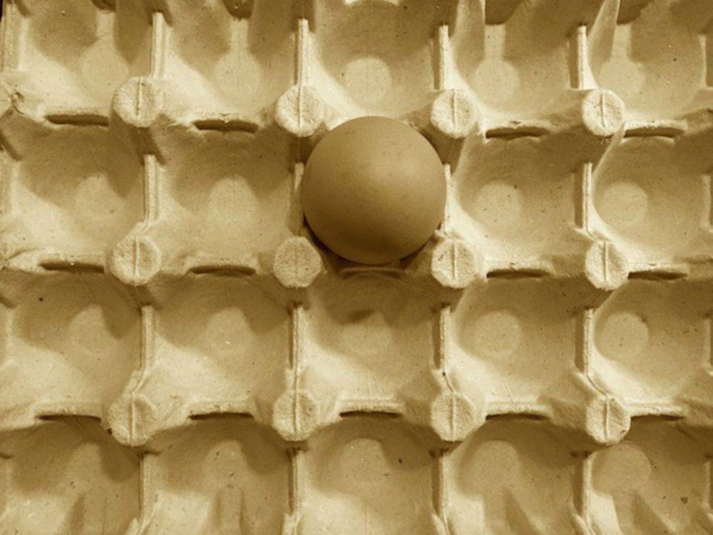 Глава ФАС: Производители могут снизить цены на яйца через месяц-полтора